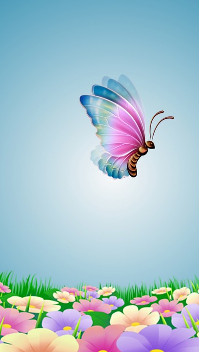 butterfly dp for whatsapp