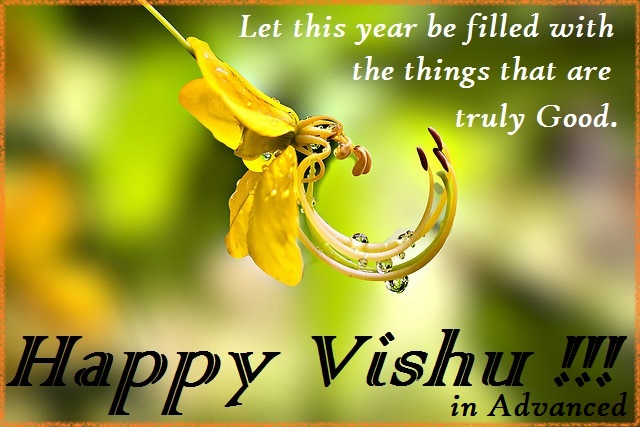 Vishu profile pictures