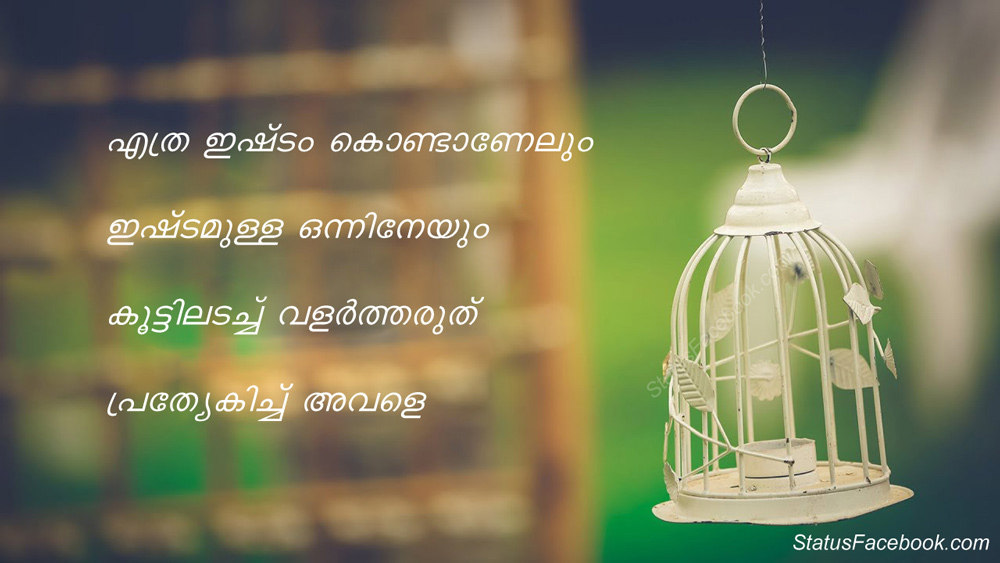 Heart Touching Malayalam Love Statuses, Whatsapp Love Quotes For Your  Romantic Mood - Malayalam Love Statuses and More: Page-01